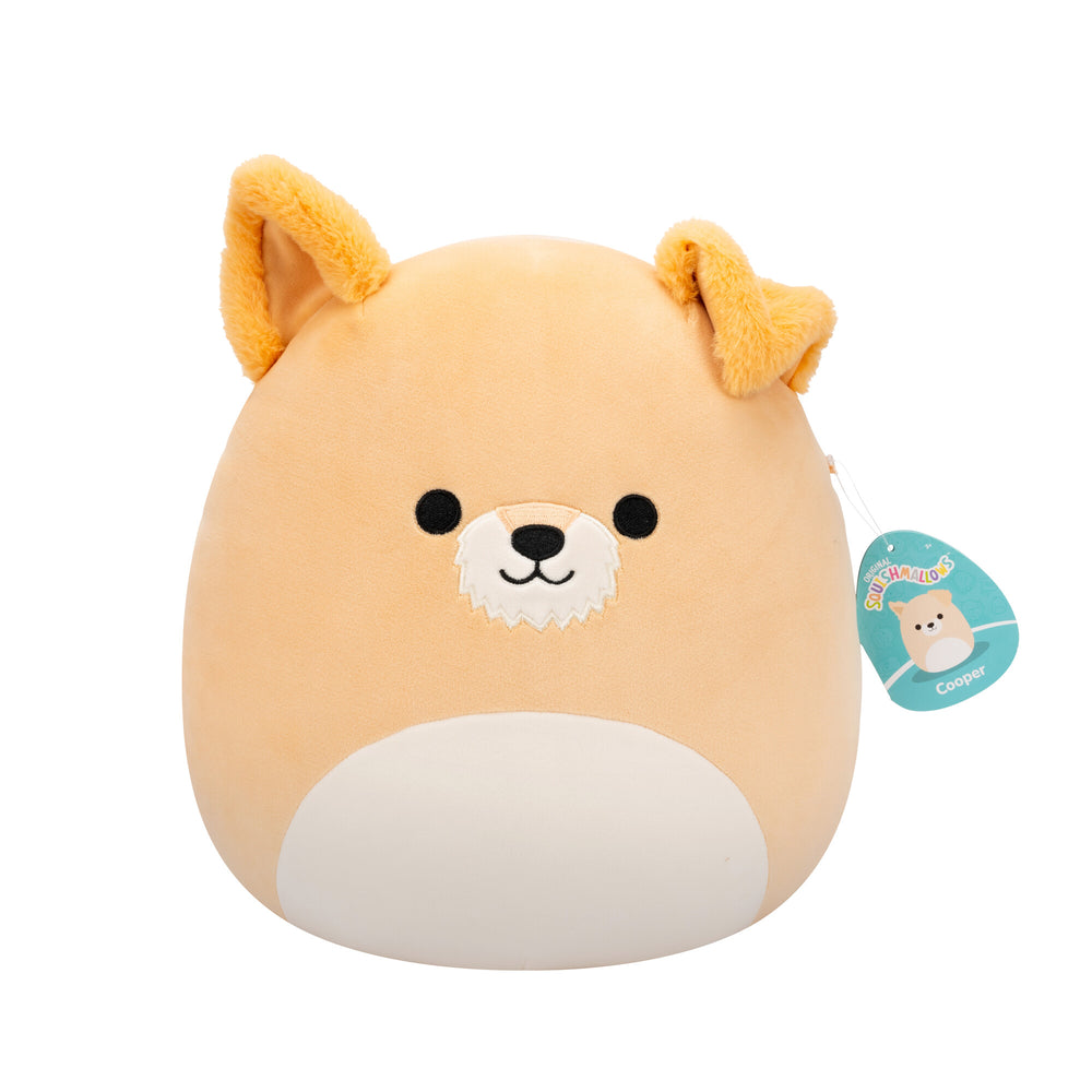 Squishmallows 12" - Cooper the Schnauzer Dog