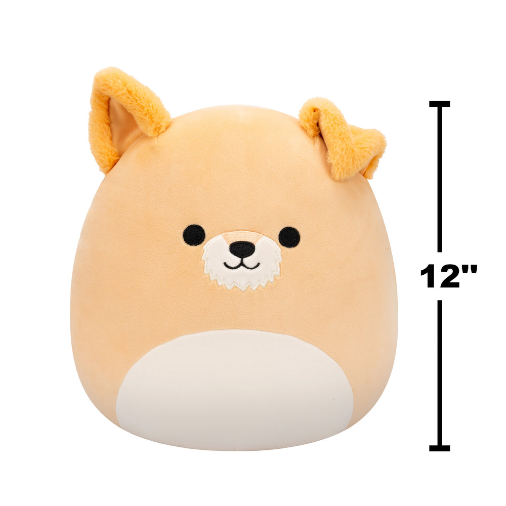 Squishmallows 12" - Cooper the Schnauzer Dog