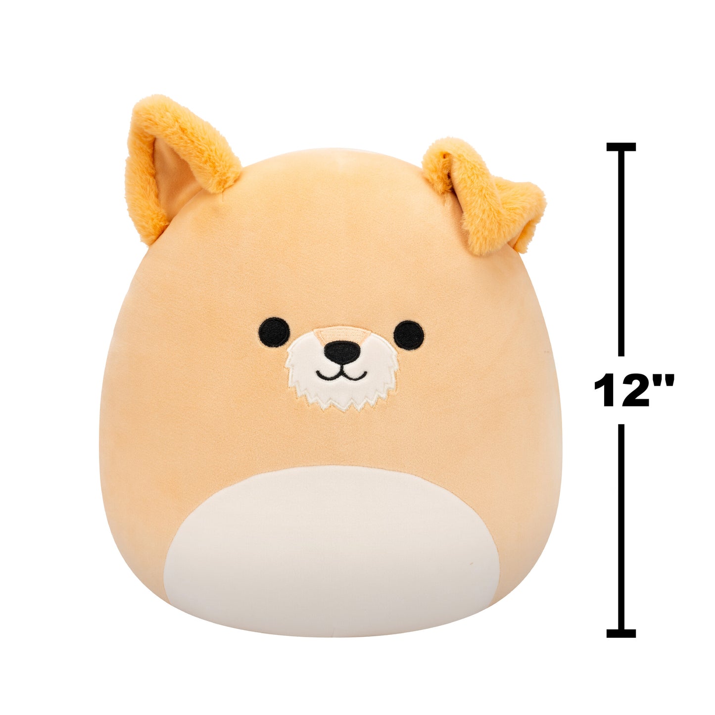 Squishmallows 12" - Cooper the Schnauzer Dog