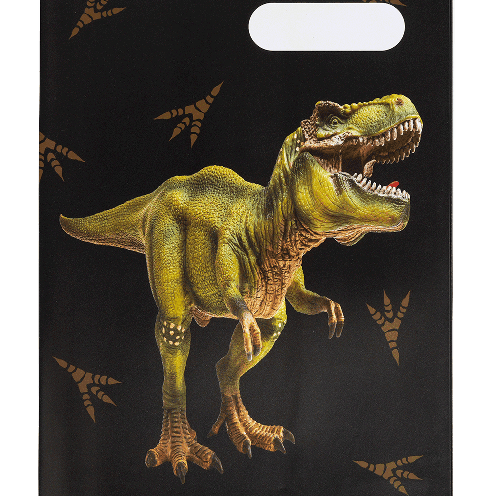 Book Cover A4 Dinosaur Discovery 2