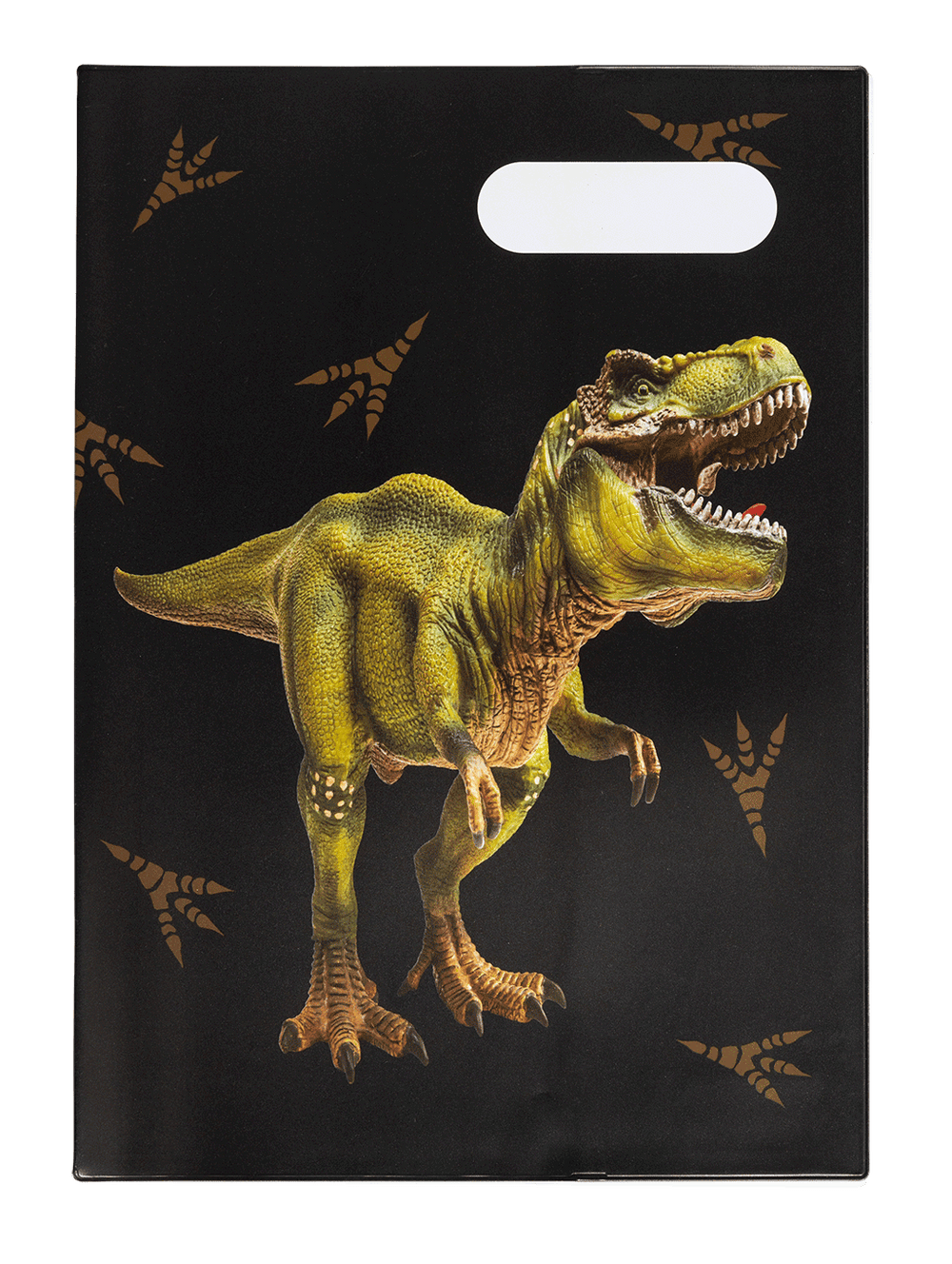 Book Cover A4 Dinosaur Discovery 2