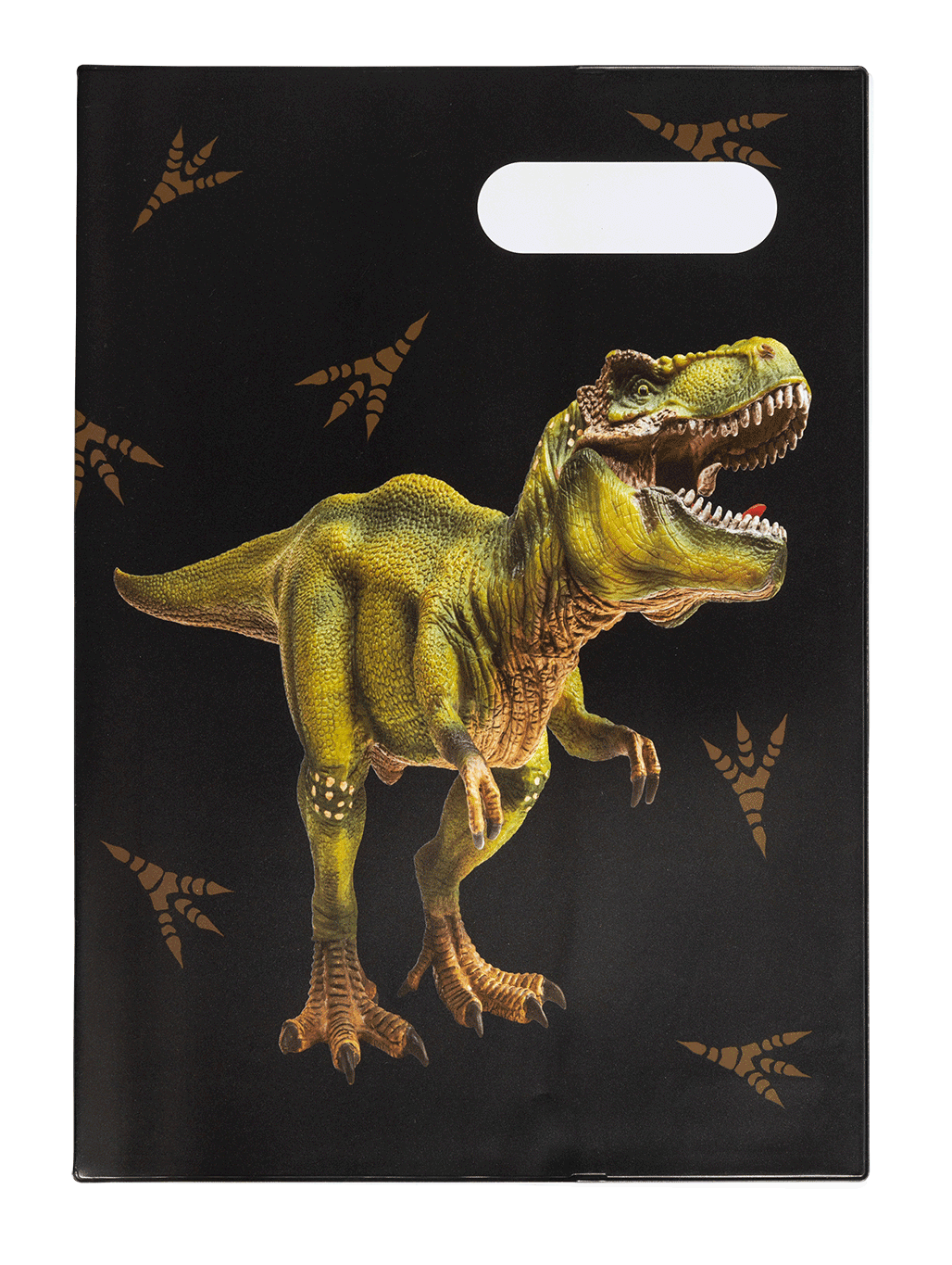 Book Cover A4 Dinosaur Discovery 2