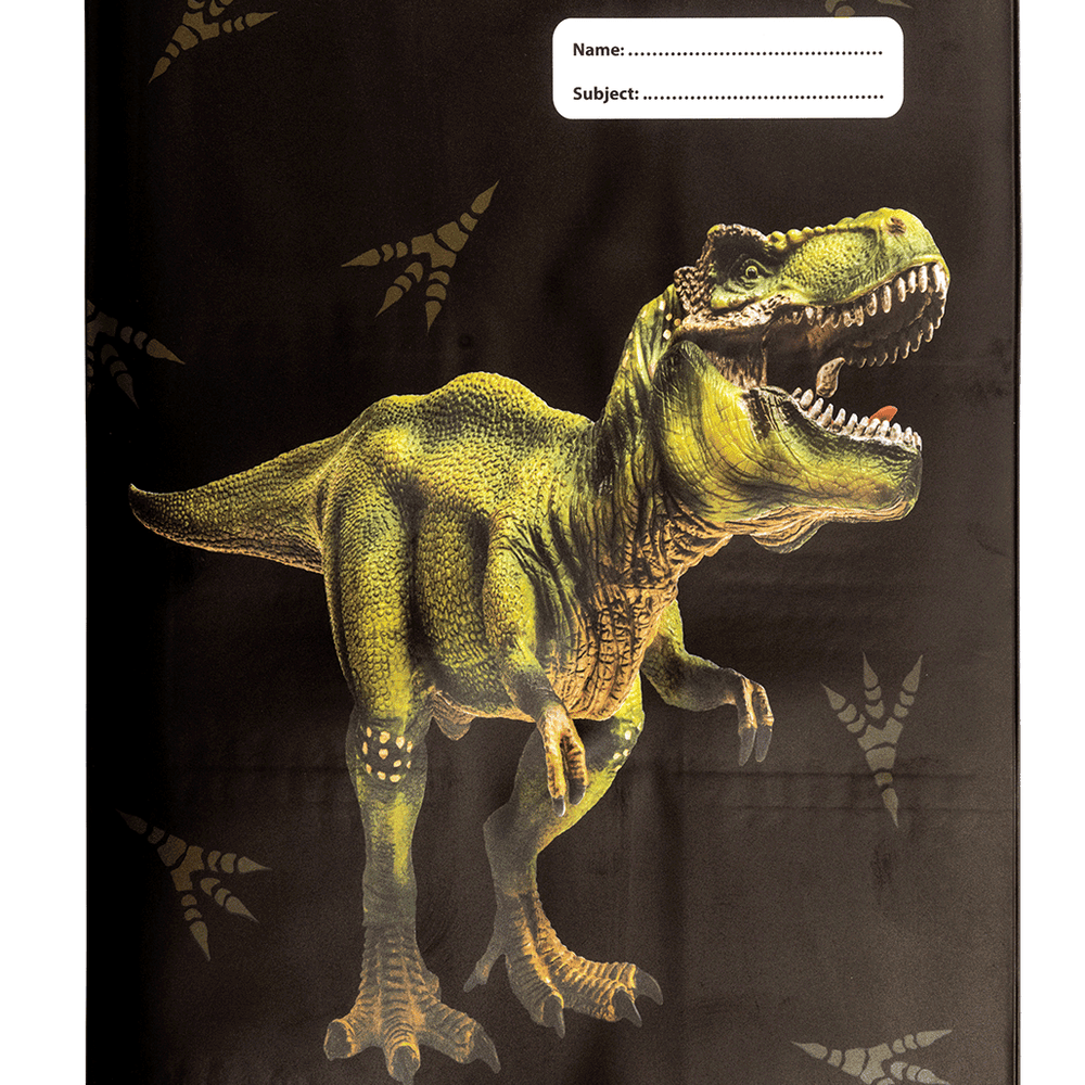 Book Cover A4 Dinosaur Discovery 2