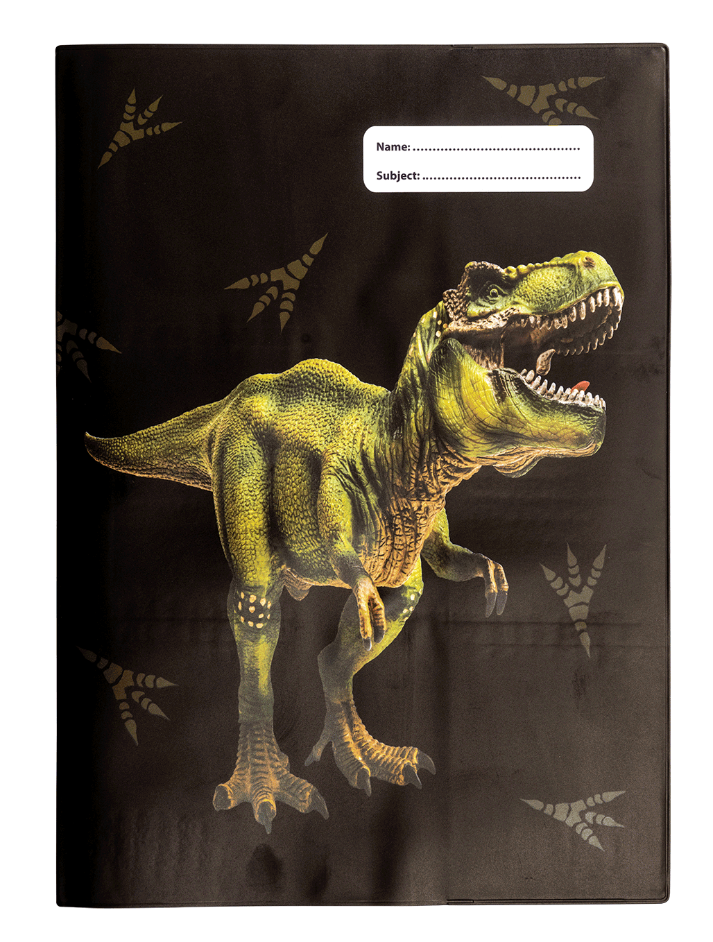 Book Cover A4 Dinosaur Discovery 2