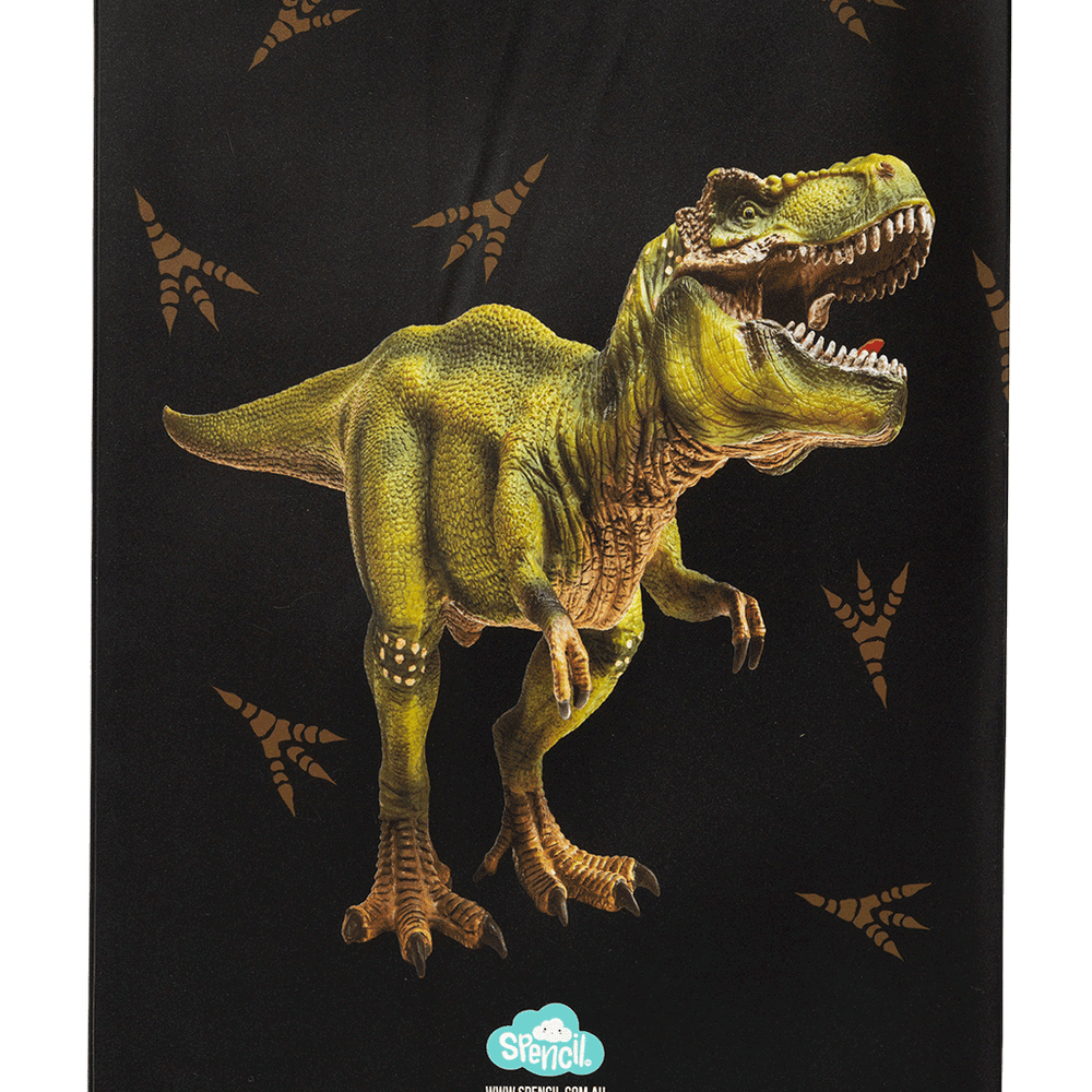 
                      
                        Book Cover A4 Dinosaur Discovery 2
                      
                    