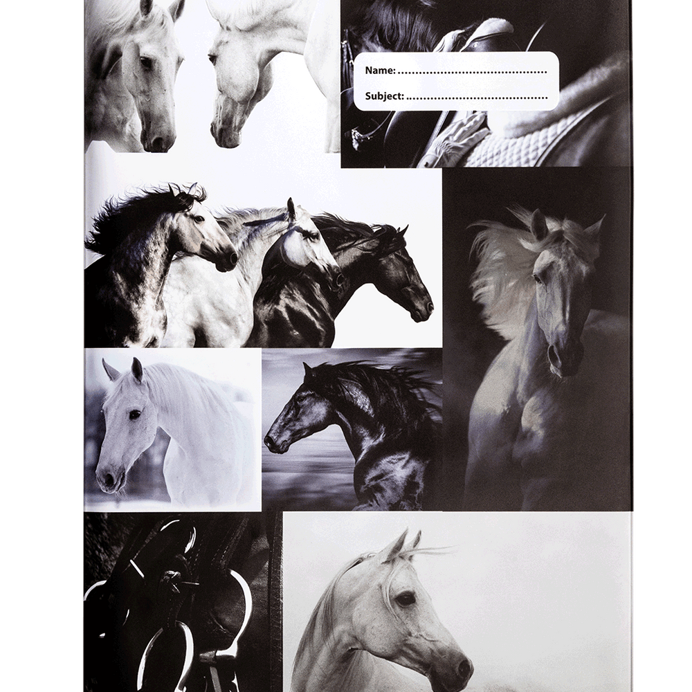 Book Cover A4 Black & White Horses 4