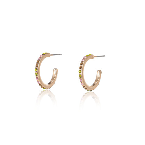 Earrings Gold Plated Hoops with coloured stones