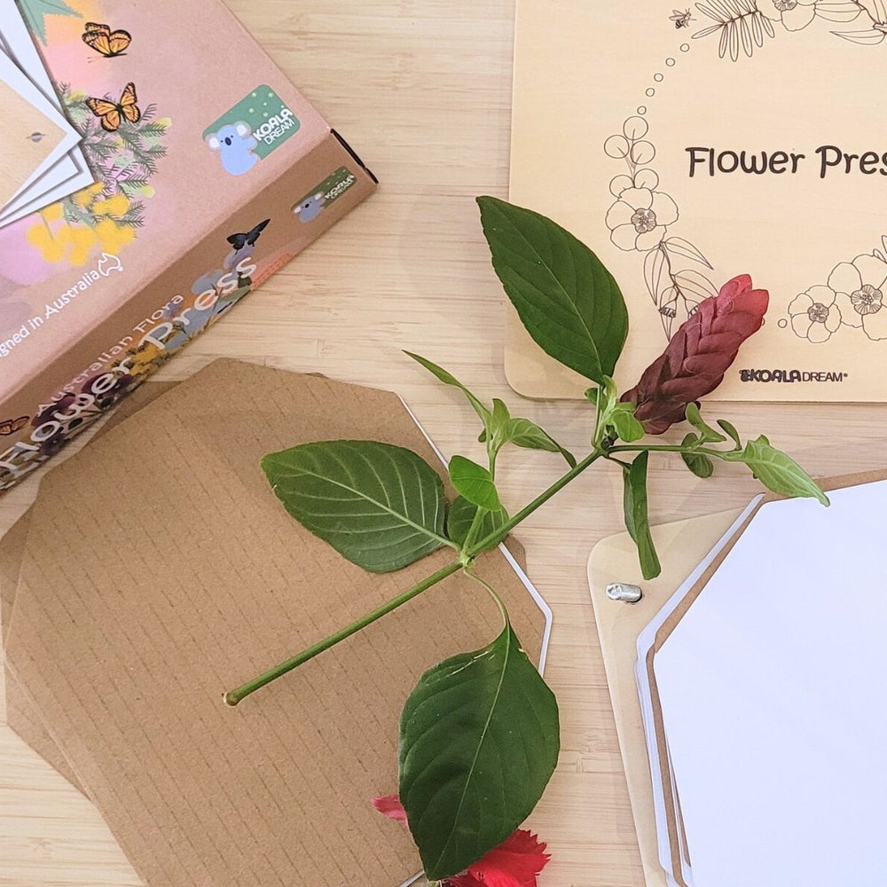 
                      
                        Australian Flora Flower Press Craft Kit
                      
                    