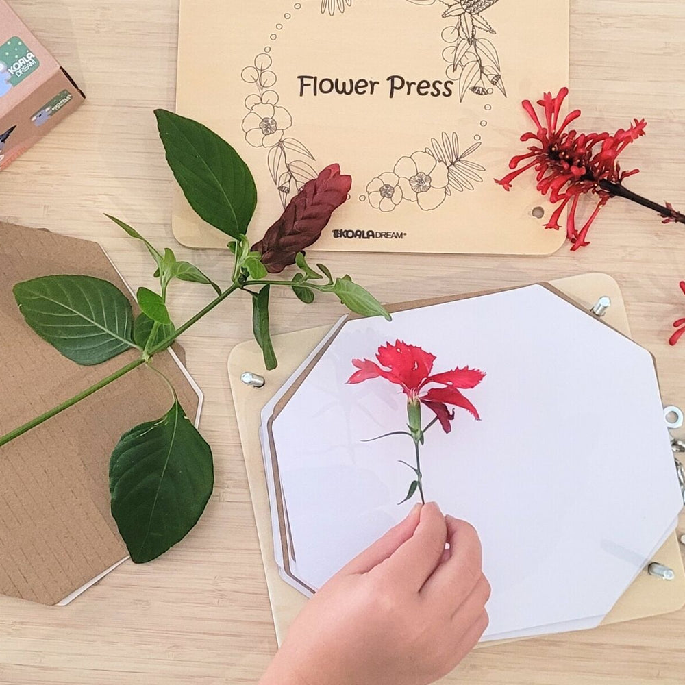 
                      
                        Australian Flora Flower Press Craft Kit
                      
                    