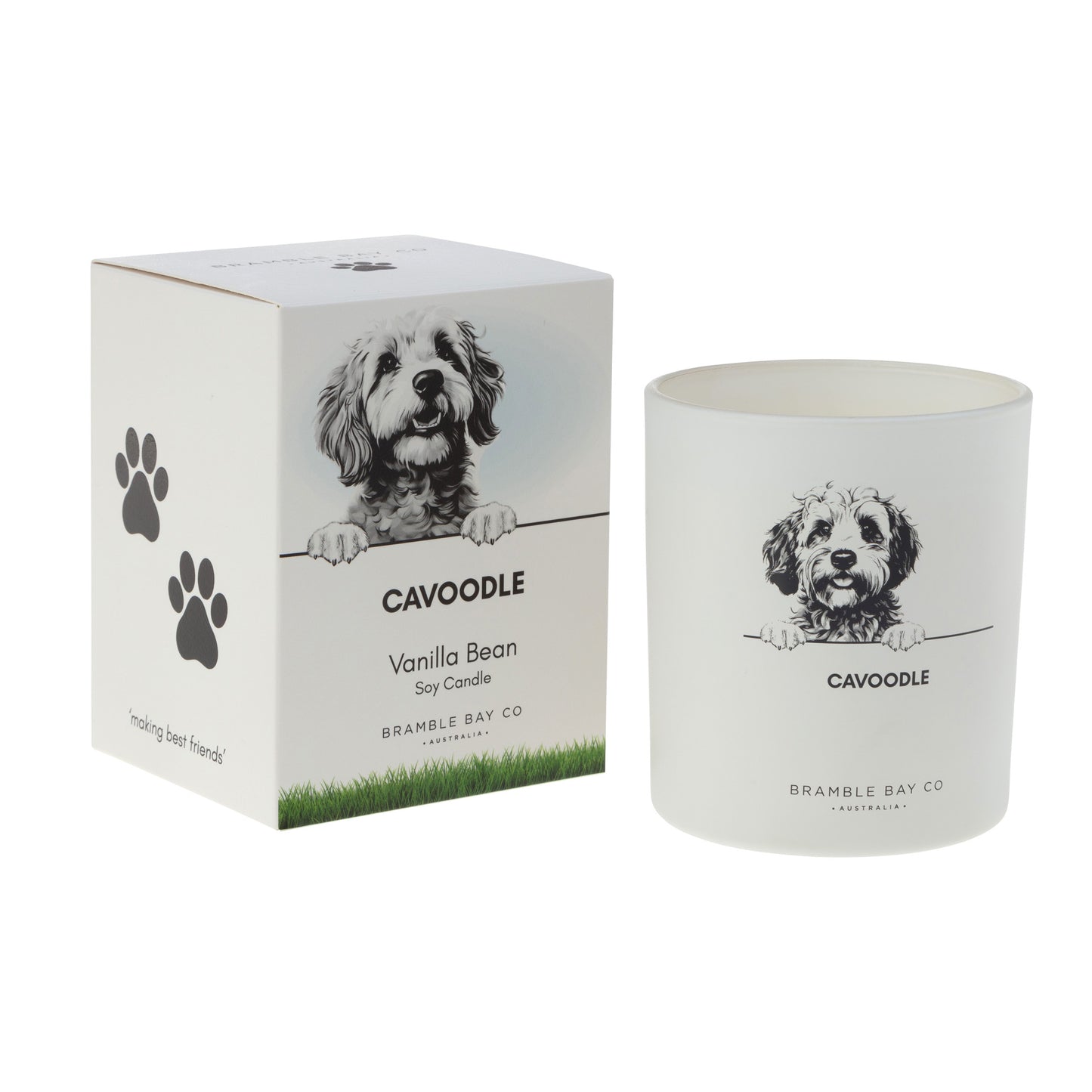 Candle Pet Cavoodle Black and white