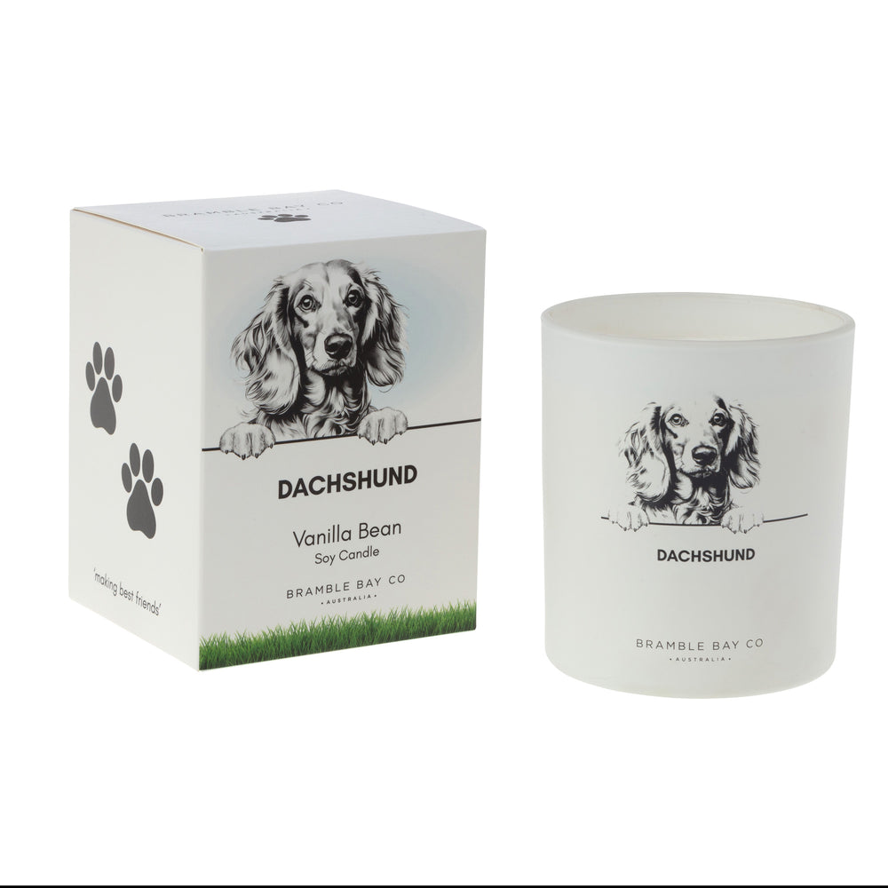 Candle pet Dachshund Black & White 