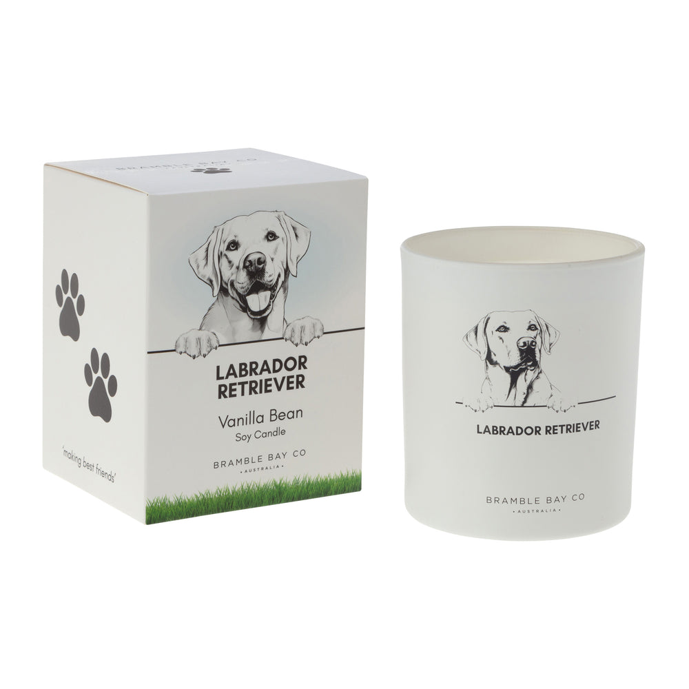 Candle Pet Labrador Retriever Black & White