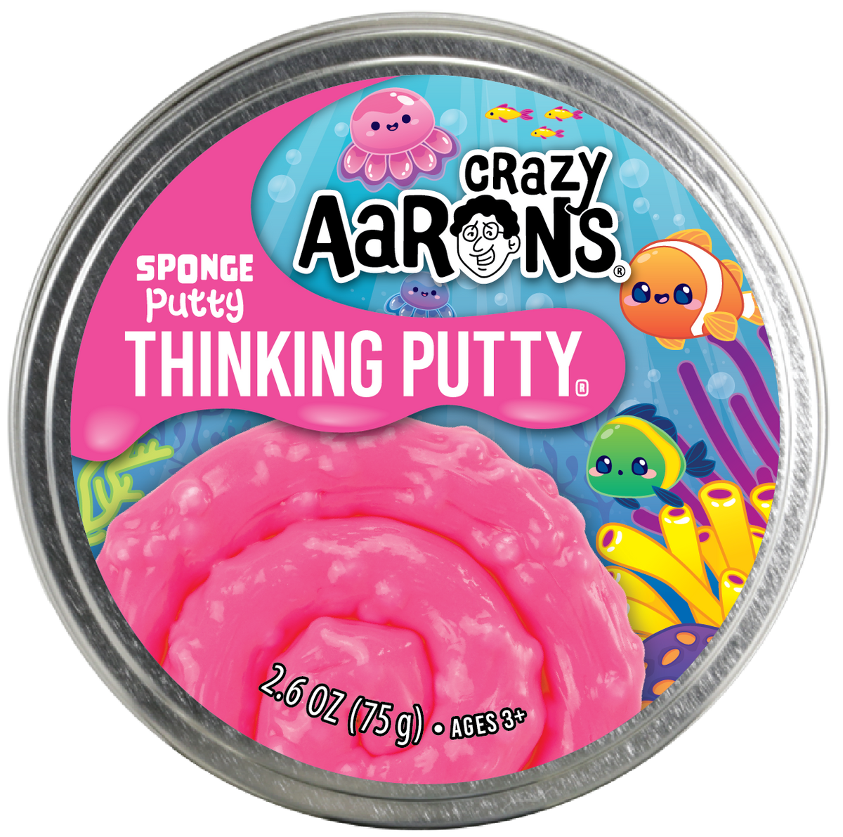 Aaron's Putty Sponge Trendsetters