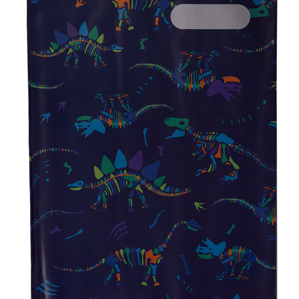 Book Cover A4 Dino Bones 1